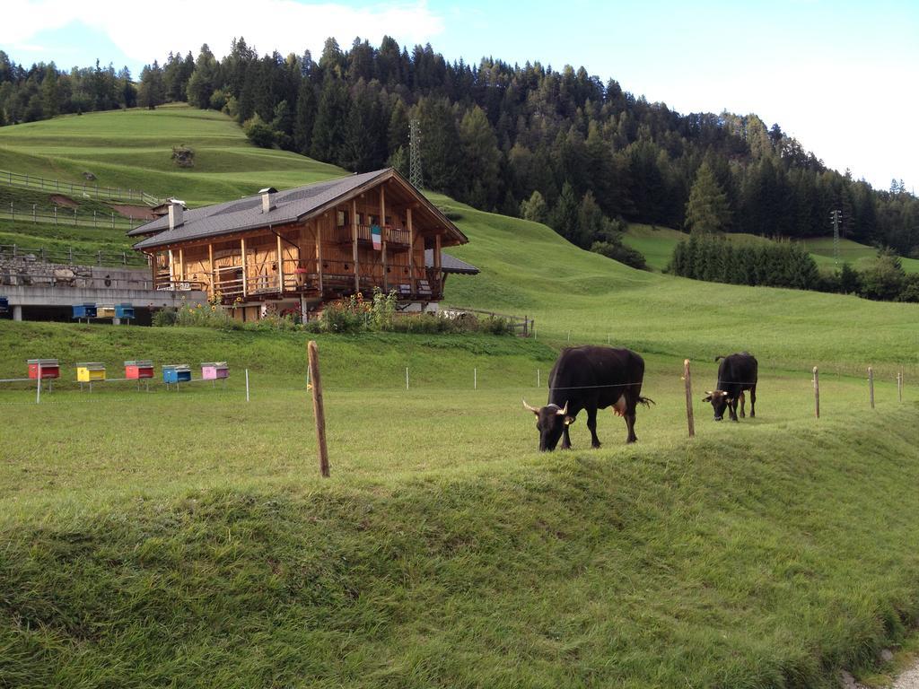 Agritur Ciasa Dò Parè Villa Soraga Bagian luar foto